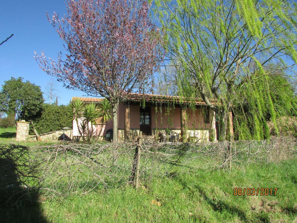 Agriturismo Il Feudo Guest House Grosseto Exterior photo