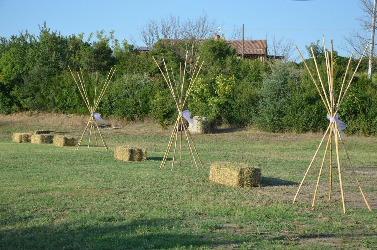 Agriturismo Il Feudo Guest House Grosseto Exterior photo